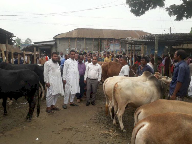 পবিত্র কুরবানীর ঈদকে সামনে রেখে  চিরিরবন্দরে প্রশাসনের উদ্যোগে উপজেলা নির্বাহী অফিসার একে এম শরীফুল হক- ঐতিহ্যবাহী রাণীরবন্দর গরুর,ছাগলের হাট পরিদর্শন করেন।