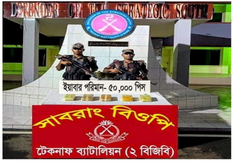 টেকনাফে বিজিবি'র অভিযানে ৫০ হাজার পরিত্যাক্ত ইয়াবা উদ্ধার