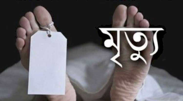 নওগাঁ পুত্রের লাঠির আঘাতে  পিতা খুন