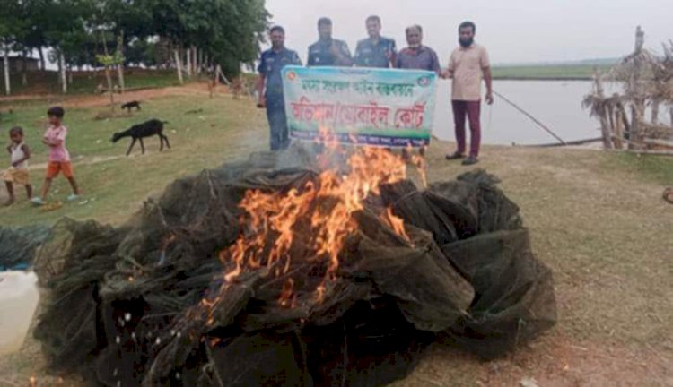 নওগাঁ পুনর্ভবা নদীর বিভিন্ন স্থানে অভিযান চালিয়ে অবৈধ  সুতিজাল জব্দকরে পোড়ানো হয়