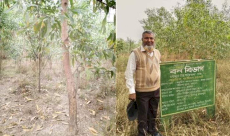 নওগাঁ বৃক্ষরোপণ ও বনায়ন বনবিট কর্মকর্তা আনিসুর রহমানের সাফল্য অর্জন
