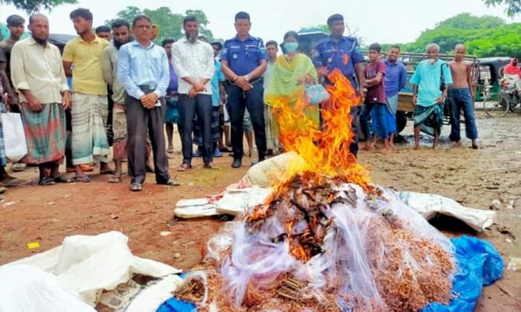 নওগাঁর আবাদপুকুর হাটে ১০হাজার মিটার নিষিদ্ধ কারেন্টজাল জব্দকরে আগুনে  ভূষ্মিভূত