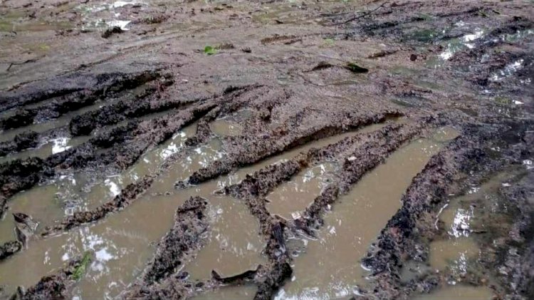 কেশবপুরের মজিদপুর মধ্যপাড়ার রাস্তাটি  চলাচলের অযোগ্য - জনদূর্ভোগ চরমে
