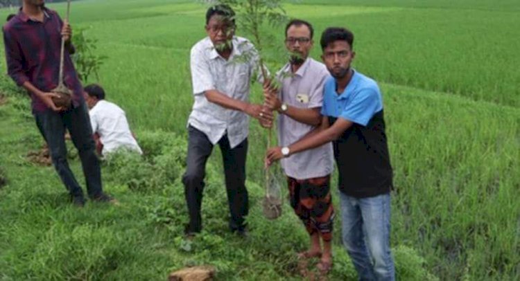 নওগাঁর মহাদেবপুরে রুপান্তর ফাউন্ডেশনের উদ্যোগে বৃক্ষরোপন কর্মসূচি পালিত