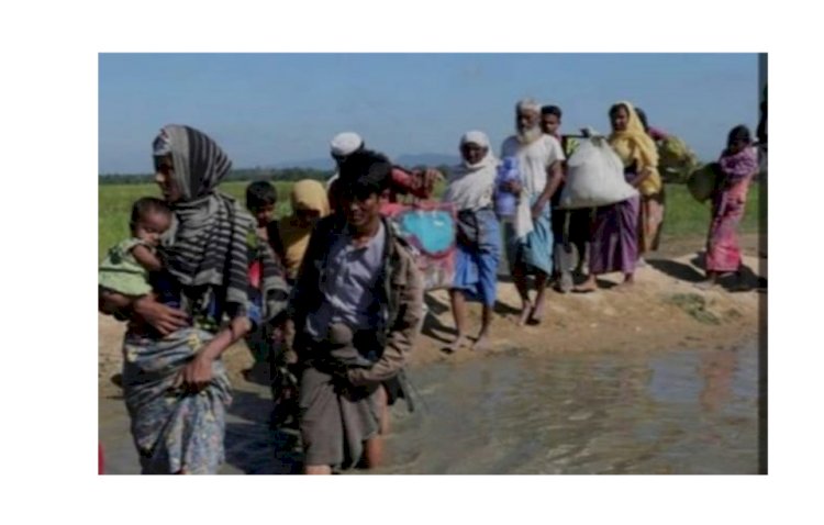 সীমান্তে বাড়ছে অনুপ্রবেশ, ক্যাম্পগুলোতে বাড়ছে নতুন রোহিঙ্গার সংখ্যা প্রভাব পড়ছে স্থানীয়দের জনজীবনে