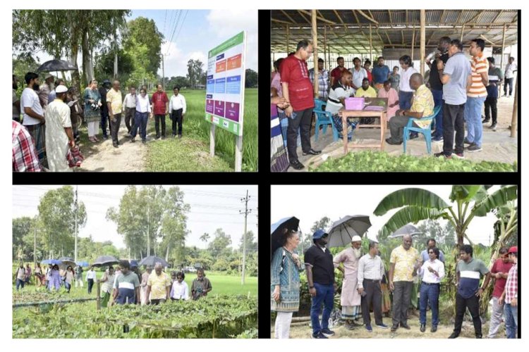 বগুড়ায় ইফদ প্রতিনিধি দলের টিএমএসএসের ভ্যালু চেইন  প্রকল্প পরিদর্শন