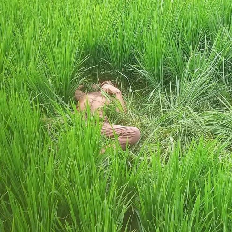 ঠাকুরগাঁওয়ে বন্ধর হাতে প্রাণ গেলো বন্ধরঠাকুরগাঁওয়ে বন্ধর হাতে প্রাণ গেলো বন্ধর