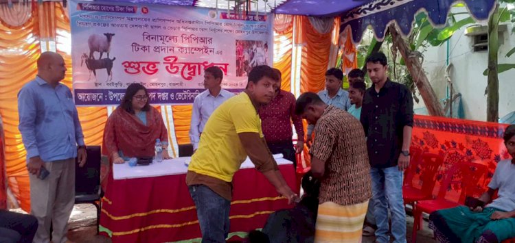 রাজশাহী মোহনপুরে বিনামূল্য  পিপিআর টিকা প্রদান ক্যাম্পেইন  উদ্বোধন আলোচনা সভা