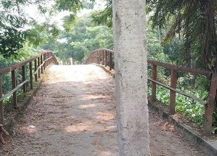 আমতলীতে নিষেধাজ্ঞা অমান্য করে ঝুকিপূর্ণ ব্রিজ দিয়ে যানবাহন চলাচল