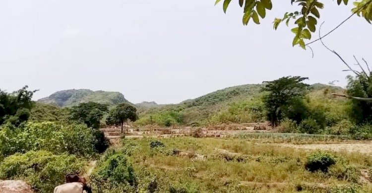 টেকনাফে ডাকাত আতঙ্কে ৪শত একর জমিতে শীতকালীন সবজি সহ মৌসুমি  চাষাবাদ বন্ধ