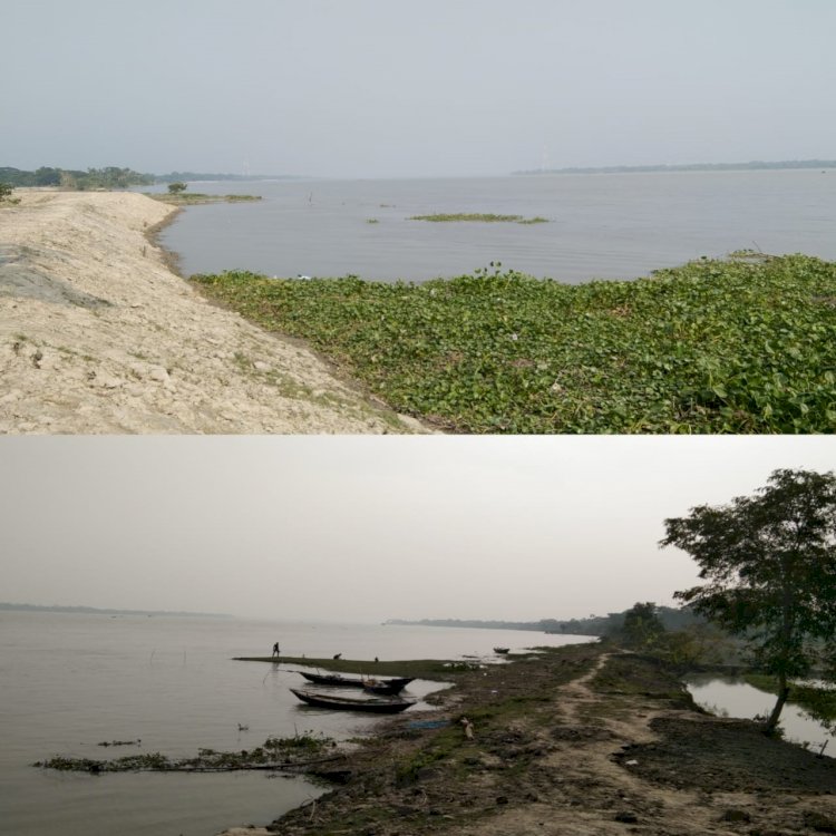 রাক্ষুসে পায়রা গিলে ফেলেছে কয়েকটি গ্রাম নিঃস্ব কয়েক হাজার পরিবার।