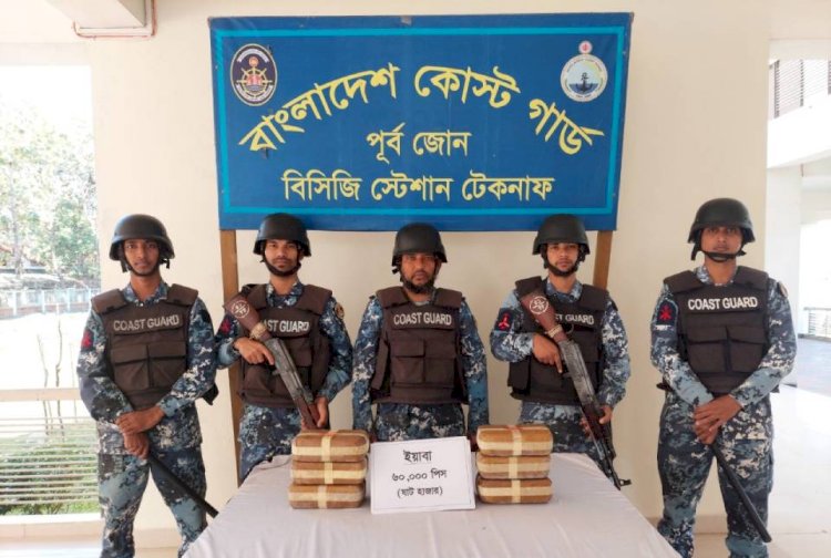 টেকনাফে কোস্টগার্ডের অভিযানে বিপুল পরিমাণ ইয়াবা জব্দ
