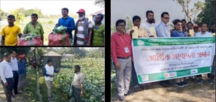 টিএমএসএস প্রতিনিধি দলের আরএমটিপি'র সবজি উৎপাদন প্রকল্প পরিদর্শন