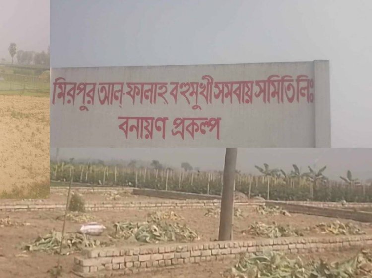 সাভার উপজেলার মধ্যে  অবৈধ  ভাবে  উইপোকা, ছারপোকার মতো গড়ে উঠেছে হাউজিং