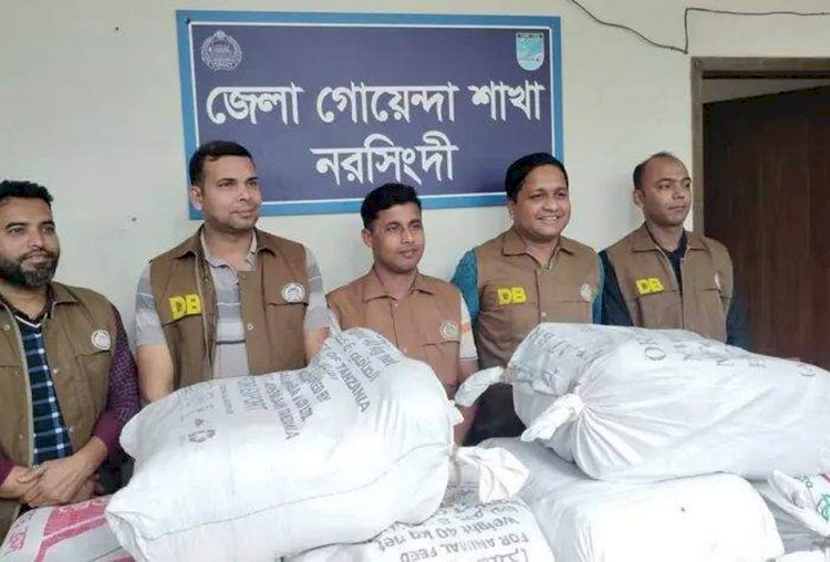 নরসিংদীর শিবপুরে লটকন বাগানে পরিত্যক্ত অবস্থায় পরে থাকা ৯৬ কেজি গাঁজা উদ্ধার