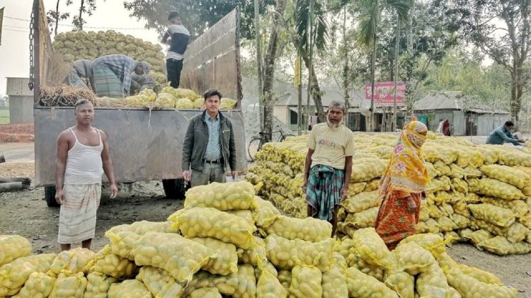 রংপুরের আলু যাচ্ছে মালয়েশিয়ায়