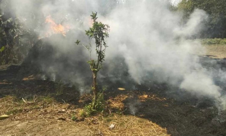 নওগাঁর মহাদেবপুর চ্কহরিবল্লব গ্রামে শক্রতা জেরে খড়ের পালায় আগুন দিয়েছে দুর্বৃত্তরা