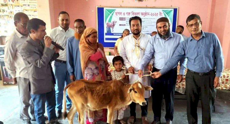 নওগাঁর  মাদিশহরে উত্তরবঙ্গ উন্নয়ন প্রকল্প শিশু পরিবারের মাঝে ১৫০ টি গরু ছাগল বিতরণ