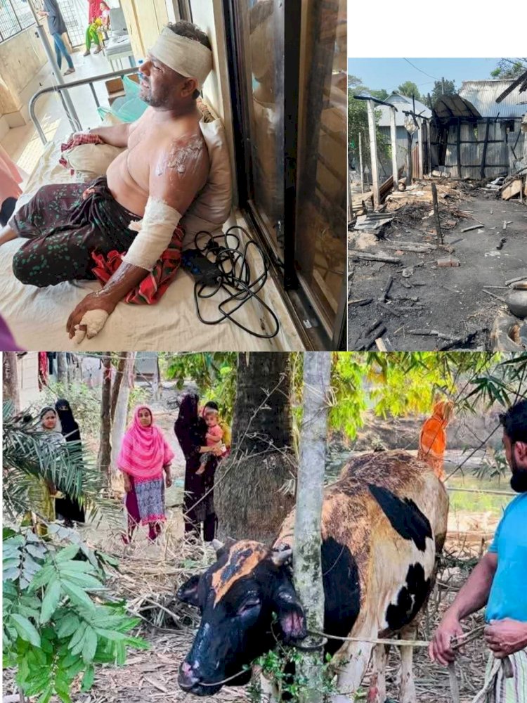 বুড়িচংয়ে বসতবাড়ি ও গোয়ালঘর ভষ্মীভূত;অগ্নিদগ্ধ ৫টি গরু,মালিক হাসপাতালে!