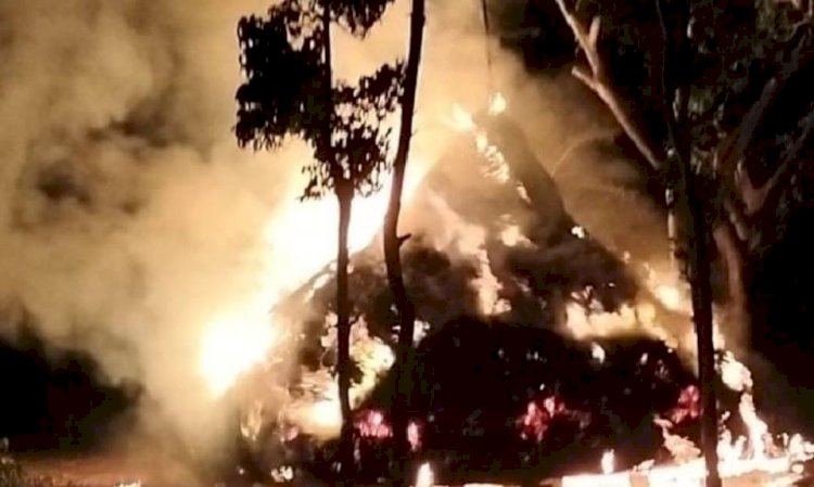 মির্জাগঞ্জে সাংবাদিকের গরুর খামারে পেট্রোল দিয়ে  আগুন