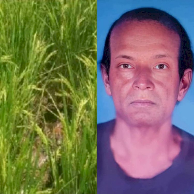 নওগাঁয় নিখোঁজের ২ দিন পর ধানক্ষেতে  আব্দুল জব্বারের গলাকাটা অর্ধগলিত মৃতদেহ উদ্ধার