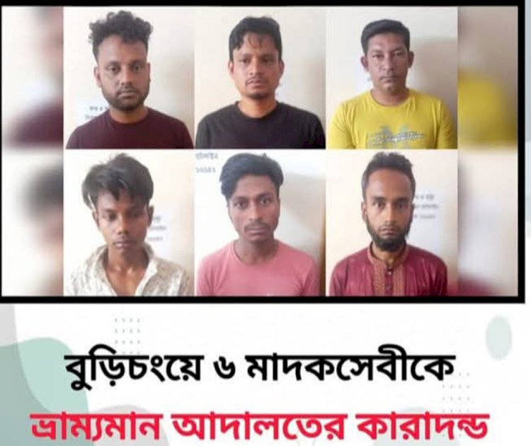 কুমিল্লা সীমান্তে গিয়ে মাদক সেবন, ৬ যুবককে কারাদন্ড