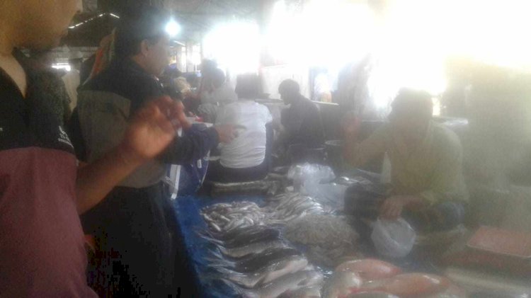 নরসিংদীর শিবপুর মাছ বাজার পরিদর্শন