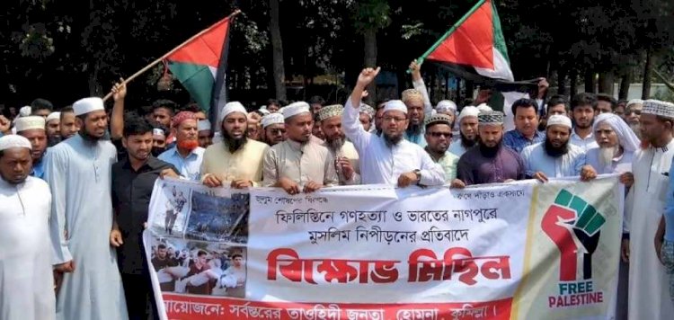 হোমনায় 