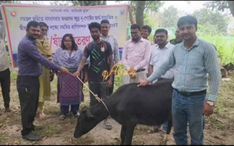 রাজশাহীর মোহনপুরে ক্ষুদ্র-নৃগোষ্ঠীর মাঝে  উন্নত জাতের বকনা  গরু বিতরণ