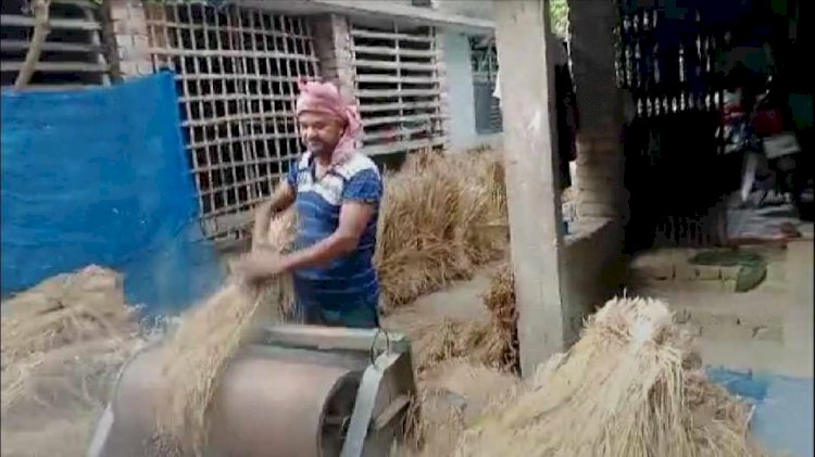 কেশবপুরের সাংবাদিক এম,এ রহমান বললেন,  নিজে ধান কাটা ছোট কাজ নয়
