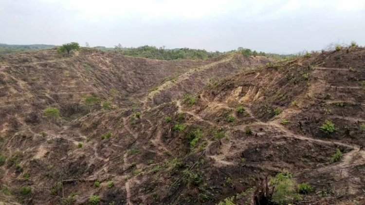 নাইক্ষ্যংছড়ি'র বাইশারীতে সরকারী খাস বনভূমি পাহাড় নদী নালা ধ্বংস বালি উত্তোলন উদ্ধারে তৎপরতা চলছে!