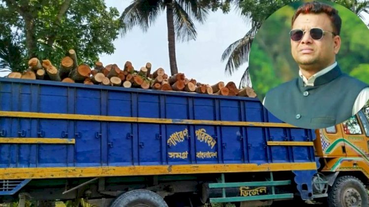 নড়াইলের শাহাবাদে সরকারি গাছ চুরি করে বিক্রির অভিযোগে ইউপির চেয়ারম্যানসহ ১৩ জনের নামে মামলা