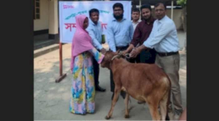 নওগাঁর মহাদেবপুরে ব্র্যাকের ইউ পিজি পির প্রকল্পের অতি দরিদ্রদের মাঝে ষাঁড় বাছুর বিতরণ অনুষ্ঠান অনুষ্ঠিত