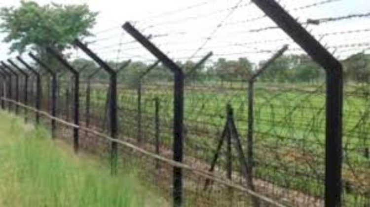 ঠাকুরগাঁওয়ের রানীশংকৈল সীমান্তে ঘাস কাটার সময় এক বাংলাদেশী কে ধরে নিয়ে যায় বিএসএফ