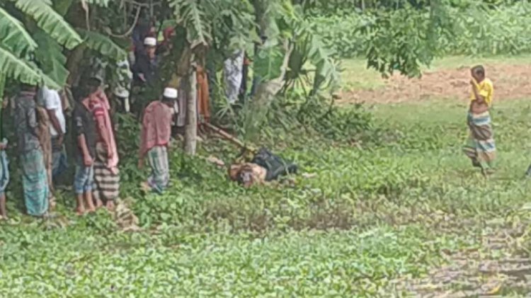 রাজবাড়ীতে পুকুর থেকে অজ্ঞাত যুবকের মরদেহ উদ্ধার