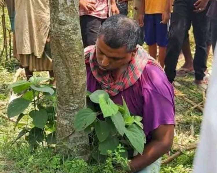 ঠাকুরগাঁওয়ে ভুট্টা ক্ষেত থেকে ইউপি সদস্যের লাশ উদ্ধার