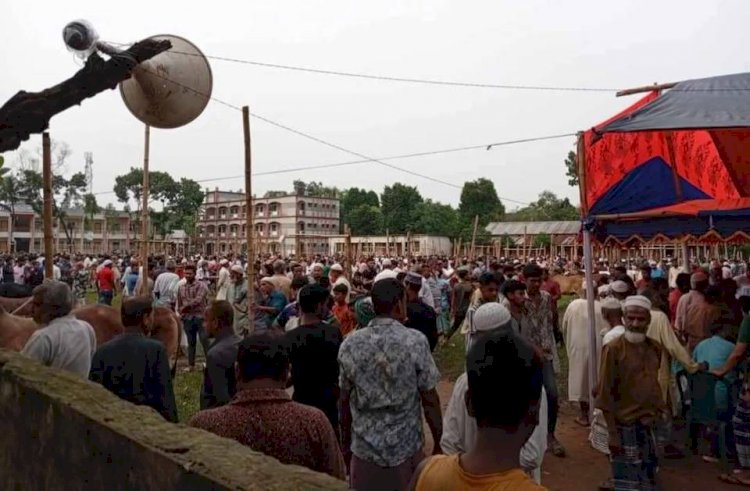 কামরাব বাজারে গরু হাটের ইজারা নিলেও স্কুল মাঠে গরুর বাজার দেখার কেউ নাই!