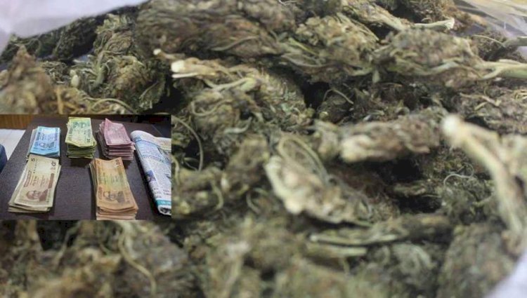 বদলগাছী থানা পুলিশের অভিযানে এক নারী মাদক কারবারি আটক