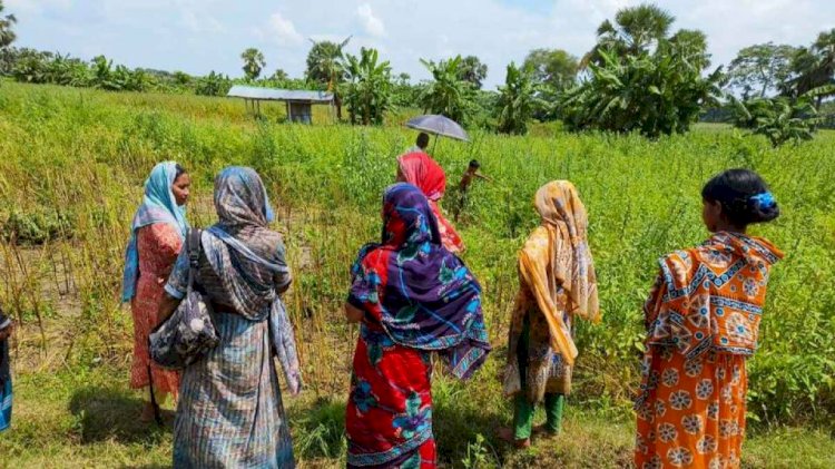 নড়াইলের লোহাগড়ায় তিল খেত থেকে মানুষের কঙ্কাল উদ্ধার করেছে থানা পুলিশ
