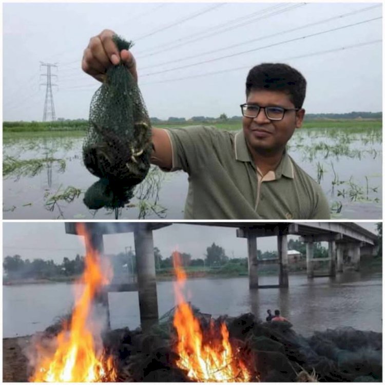 পাবনায় বিলের বুকে অভিযানে  ইউএনও মুসা নাসের চৌধুরী