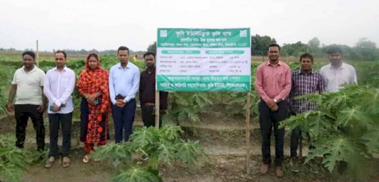 বগুড়ায় উচ্চ মূল্যের ফল চাষ বিষয়ে গাকের মাঠ দিবস অনুষ্ঠিত