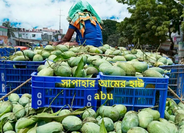 নওগাঁ জেলার সাপাহার উপজেলায় আগামী ১৮ ও ১৯ জুলাই অনুষ্ঠিত হতে যাচ্ছে দুই দিনব্যাপী ম্যাংগো ফেস্টিভ্যাল ২০২৫