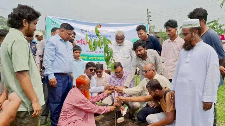 নওগাঁয় জুলাই শহীদের শ্মরণে বৃক্ষ রোপন কর্মসুচি অনুষ্ঠিত
