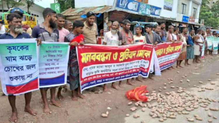 নওগাঁয় ধান-গমের মতো আলুর সরকার কতৃক ন্যায্য মূল্যের দাবিতে কৃষকদের মানববন্ধন ও কর্মসূচি পালিত
