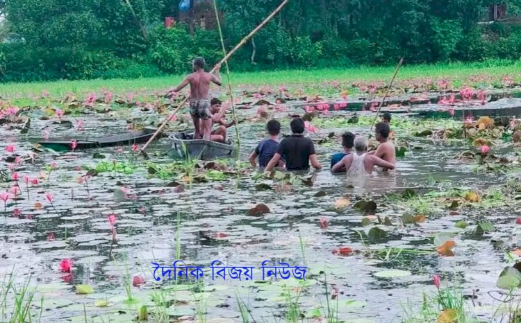 গাজীপুরের কাপাসিয়ায় বিলে দুর্ঘটনায় দুই যুবকের মৃত্যু