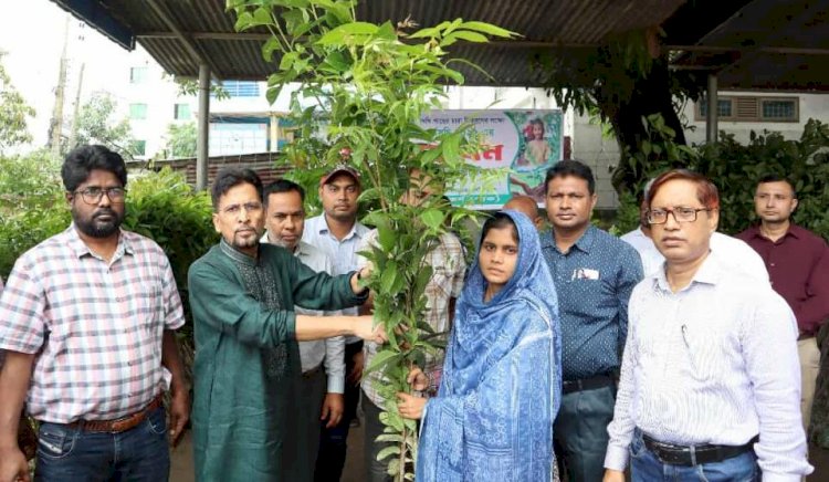 বগুড়ায় গাক-এর মাসব্যাপী বৃক্ষরোপণ কর্মসূচি উদ্বোধন