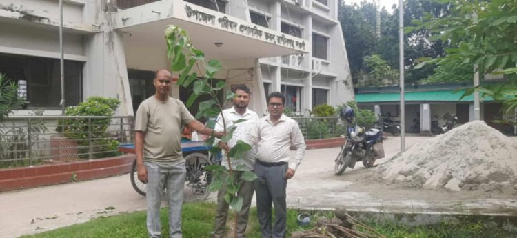 নওগাঁর রক্তদহ বিলে 