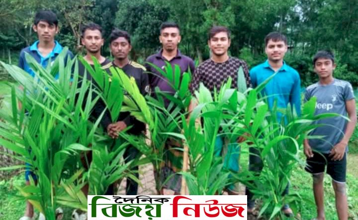 যুবশক্তির হাতেই সবুজ, সোহাদিয়া গ্রামের তরুণদের বৃক্ষরোপণ অভিযান
