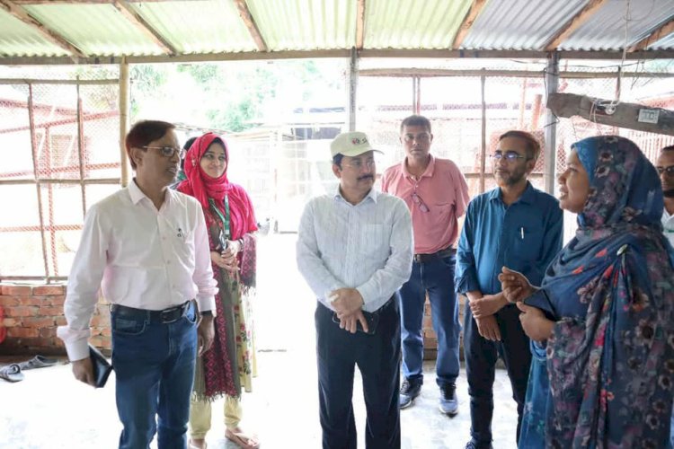 বগুড়ায় পিকেএসএফ পর্ষদ সদস্যের গাক কার্যক্রম পরিদর্শন