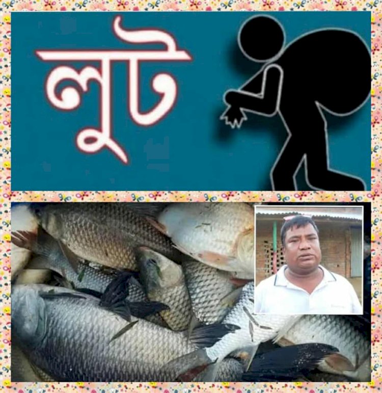 নওগাঁর নিয়ামতপুরে সরকারি খাস-পুকুর থেকে মাছ লুটের অভিযোগ বিএনপি নেতার মোশারফের বিরুদ্ধে